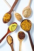 Several wooden spoon of various mustard on white background