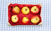 Various types of apples in a box, overhead view