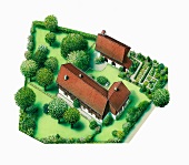 Illustration of house, coach house and garden