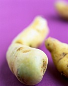 Close-up of ratte potato on purple background