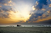 Sachsen: Landschaft, Sonnenaufgang, Wolken, Feld, Nebel, romantisch