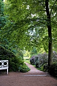 View of bushes and pavement at Bad Muskau Muskauer Park , Saxony, Germany