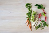 Close-up of various fresh vegetables on wooden background