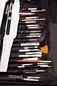 Close-up of different sizes of make-up brushes 