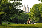 People sitting on meadow at Central Park San Remo, New York, USA