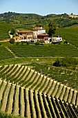 View of Villa Tiboldi in Canale Cuneo, Piedmont, Italy