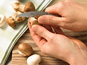 Deutsche Küche, Pilze mit dem Messer reinigen, Step 2