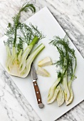 Fennel on cutting board, overhead view