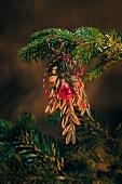 Close-up of various tree ornaments hanging on Christmas tree