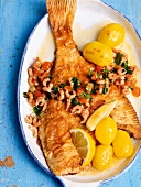Fried plaice with crab butter, potatoes and sliced lemon on plate 