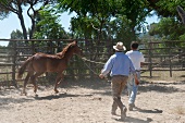 Two butteros with horse in ranch, Maremma, Tuscany, Italy