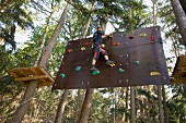 Man wall climbing in woods in Nature Park, Franconian Switzerland, Bavaria, Germany