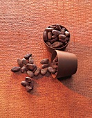 Schokolade, Kakaobohnen, Sorte Nacional