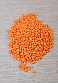 Close-up of red lentils 