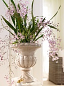 Delicate orchid flowers in creme amphora