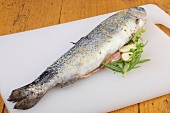 Raw trout fish with filling of herbs on chopping board, step 1