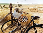 altes Fahrrad an Zaun gelehnt, Feld, Tasche am Lenker, Südafrika