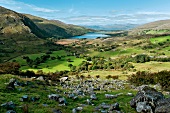 Irland: Beara-Halbinsel, Natur, Hügellandschaft, malerisch