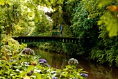 Irland: Ashford, Mount Usher Gardens grün bewachsen, Brücke