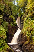 View of waterfall in Glenariff Forest Park, Ireland