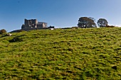 Irland: Rock of Cashel, Burgruine auf Felsvorsprung, grün.