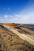 View of Rotes Kliff in Morsum, Sylt, Germany
