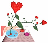 Illustration of plants growing in petri dish symbolising growing organs in vitro