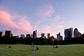 People enjoying at Central park with skyline in background, New York, USA