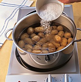 Salz, Meersalz zu den Kartoffeln ins Wasser geben, Step 1