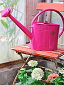 Pink watering can on red chair beside flower plant