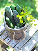 Cucumber and borage in wooden bucket