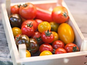 Sommerküche, Verschiedene Tomatensorten in einer Kiste