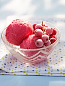 Sommerküche, Johannisbeer- sorbet mit Cassis