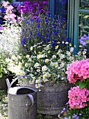 Sommerlicher Garten mit Giesskanne & blühenden Blumen in Zinkwanne