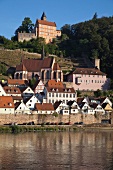 View of houses beside Neckar river in Hirschhorn, Germany