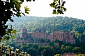 View of Heidelberg Castle overlooking the green mountain, Germany