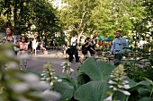 New York: Madison Sqare Park