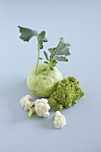 Cauliflower, kohlrabi and romanesco on white background