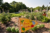 View of Pizza Garden and signboard in The New York Botanical Garden, New York, USA