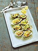 Baked oysters on tray, France