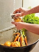 Person washing potato with brush, potatoes and carrots in sink