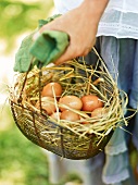 Close-up of woman carrying eggs in basket, France
