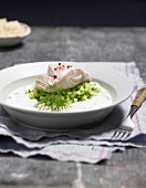 Fish with cucumber sauce in serving dish