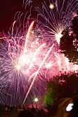 Fireworks in sky of Trocadero at night, Paris, France