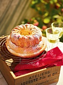 Alsace ring cake with icing sugar on cooling rack, France