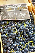 Frankreich, Marktstand mit roten Weintrauben