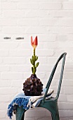 Zackenvase mit einer einzelnen Blüte auf dem Stuhl
