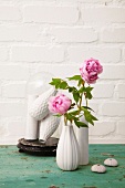 Rosa Pfingstrosen in weißen Vasen 
