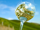 Close-up of white wine in glass with sky in background