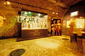 Exhibition of puppet theatre, Salzburg, Austria